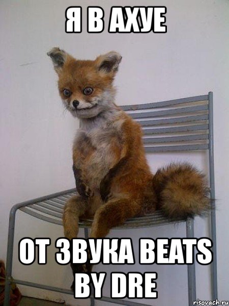 я в ахуе от звука beats by dre