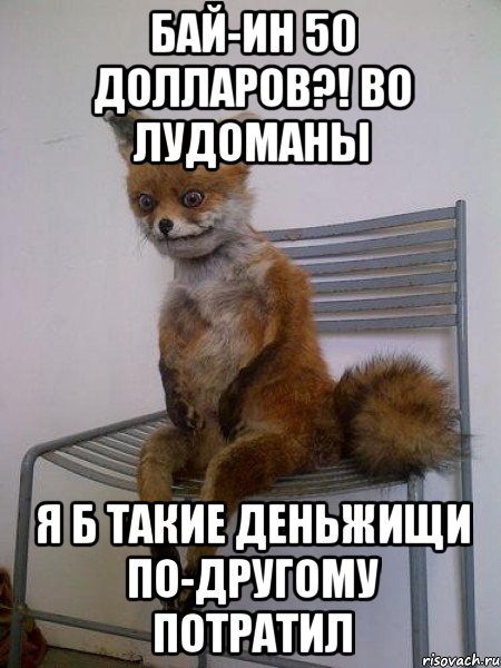 бай-ин 50 долларов?! во лудоманы я б такие деньжищи по-другому потратил, Мем Упоротая лиса