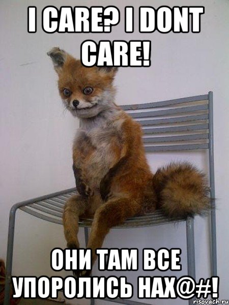 i care? i dont care! они там все упоролись нах@#!, Мем Упоротая лиса