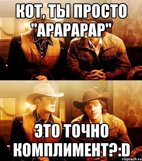 кот, ты просто "арарарар" это точно комплимент?:d, Мем в