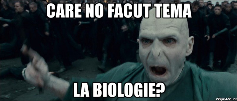 care no facut tema la biologie?, Мем воландеморт