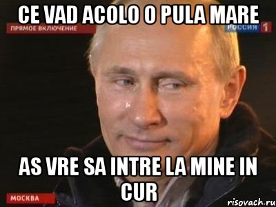 ce vad acolo o pula mare as vre sa intre la mine in cur, Мем вова