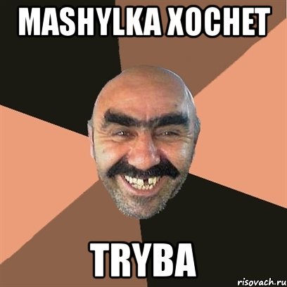 mashylka xochet tryba, Мем Я твой дом труба шатал