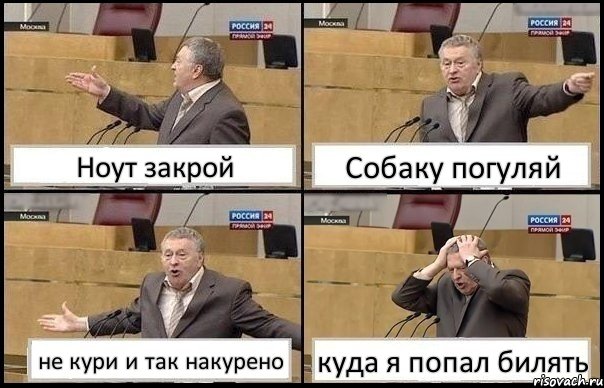 Ноут закрой Собаку погуляй не кури и так накурено куда я попал билять, Комикс Жирик в шоке хватается за голову