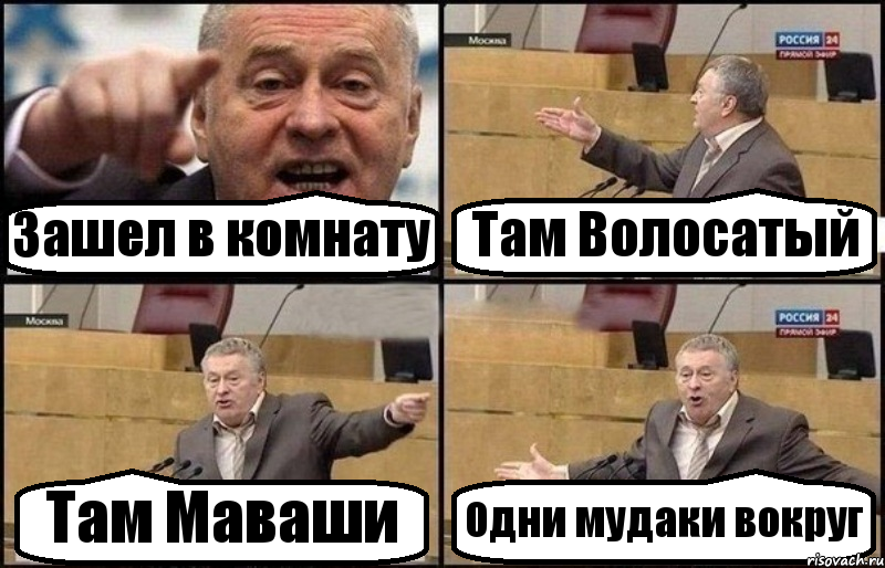 Зашел в комнату Там Волосатый Там Маваши Одни мудаки вокруг, Комикс Жириновский