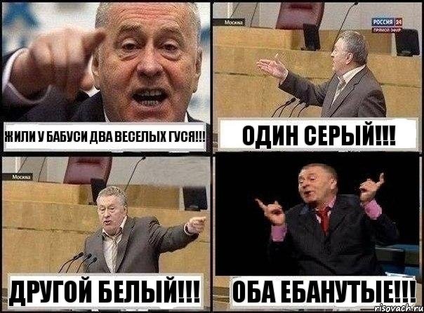 Жили у бабуси два веселых гуся!!! один серый!!! Другой белый!!! Оба ебанутые!!!, Комикс Жириновский клоуничает