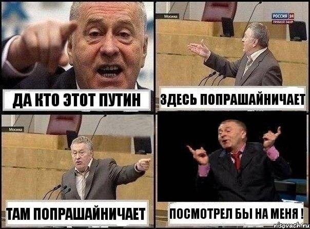 Да кто этот Путин Здесь попрашайничает Там попрашайничает Посмотрел бы на меня !, Комикс Жириновский клоуничает