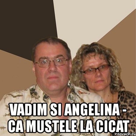  vadim si angelina - ca mustele la cicat, Мем  Злые родители