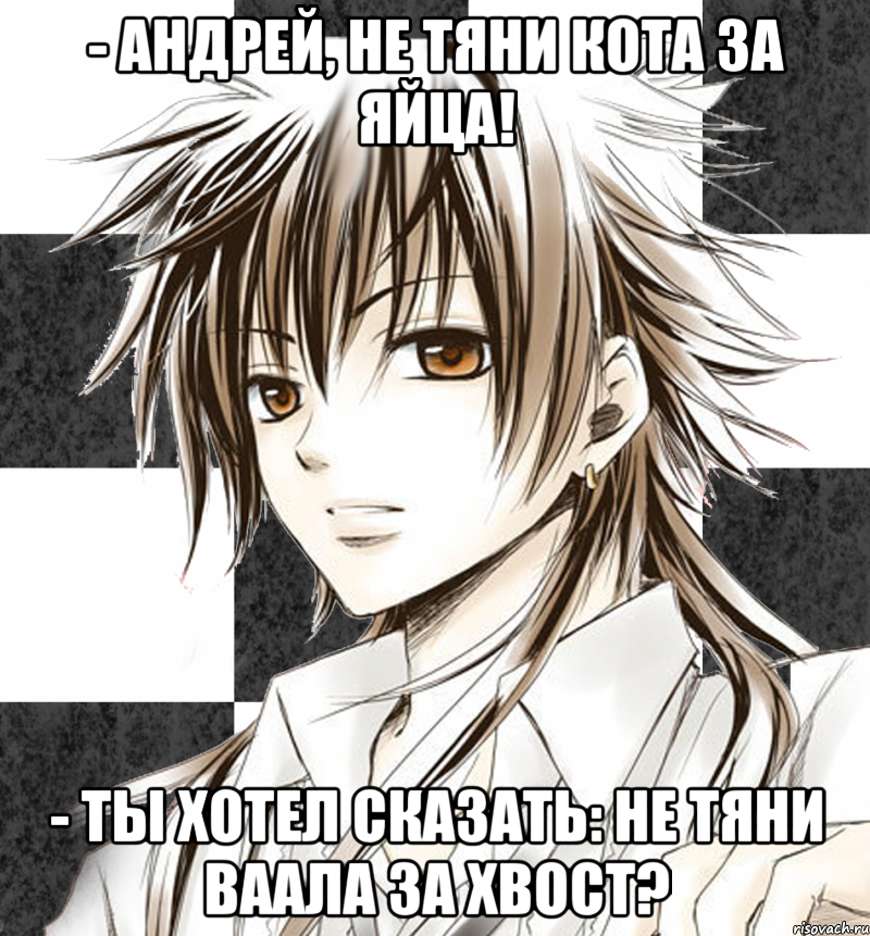 - андрей, не тяни кота за яйца! - ты хотел сказать: не тяни ваала за хвост?, Мем 1