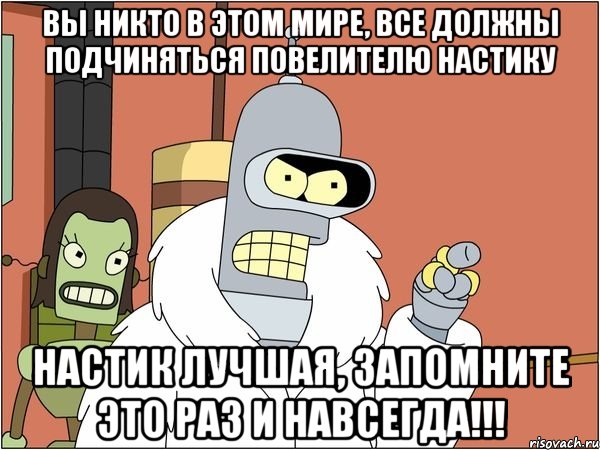 вы никто в этом мире, все должны подчиняться повелителю настику настик лучшая, запомните это раз и навсегда!!!, Мем Бендер