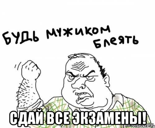  сдай все экзамены!, Мем блять