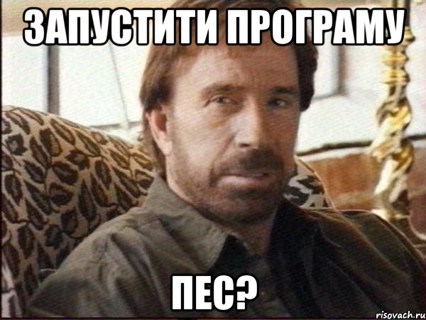 запустити програму пес?