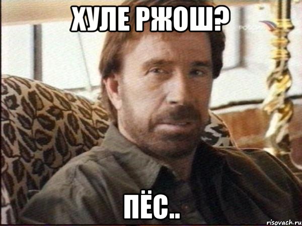 хуле ржош? пёс..