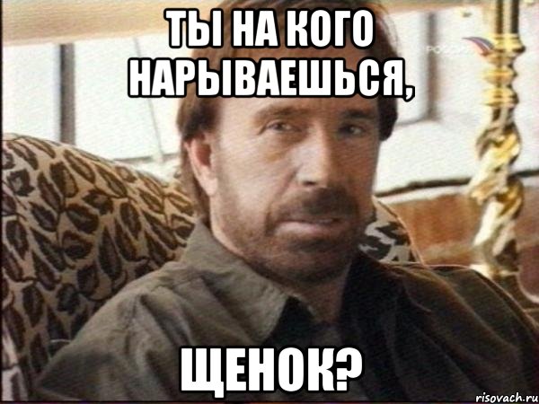 ты на кого нарываешься, щенок?