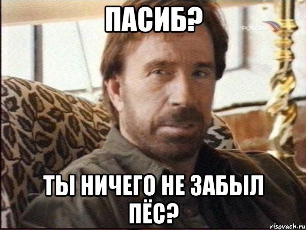 пасиб? ты ничего не забыл пёс?