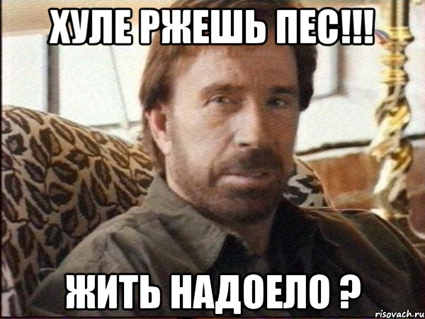 хуле ржешь пес!!! жить надоело ?