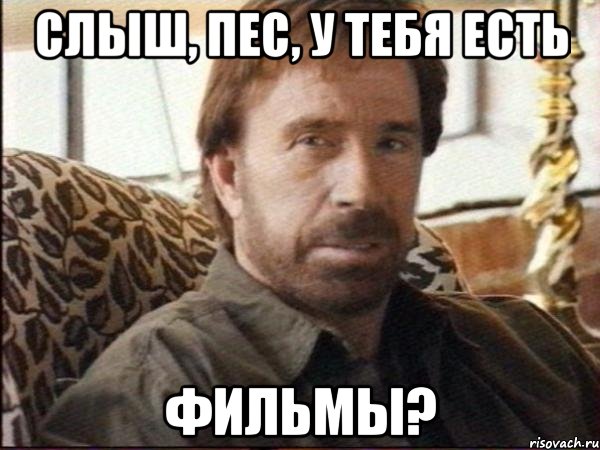 слыш, пес, у тебя есть фильмы?