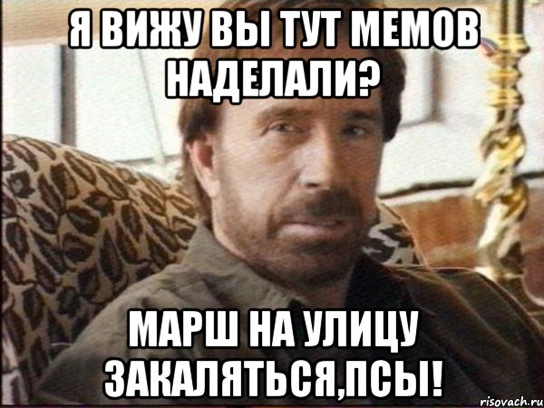 я вижу вы тут мемов наделали? марш на улицу закаляться,псы!, Мем чак норрис