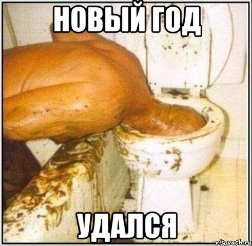 новый год удался