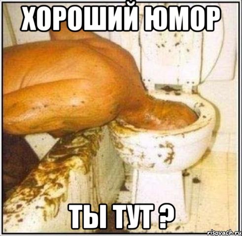 хороший юмор ты тут ?, Мем Дайвер