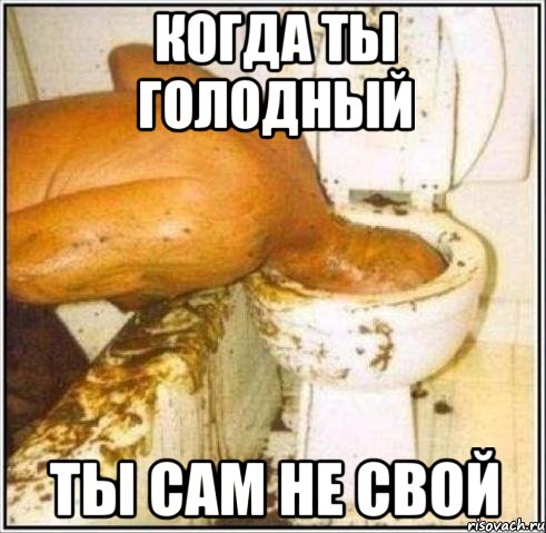 когда ты голодный ты сам не свой, Мем Дайвер