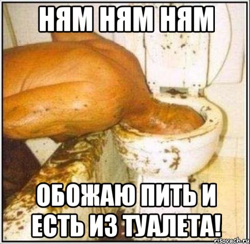 ням ням ням обожаю пить и есть из туалета!, Мем Дайвер