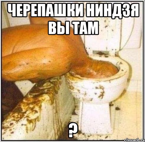 черепашки ниндзя вы там ?, Мем Дайвер