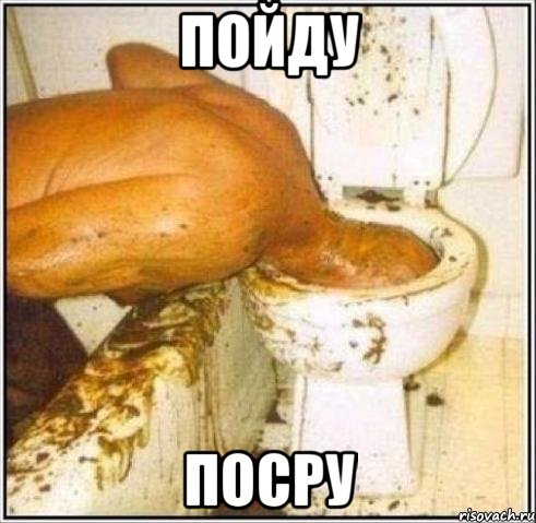 пойду посру, Мем Дайвер