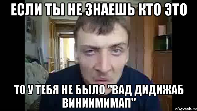 если ты не знаешь кто это то у тебя не было "вад дидижаб виниимимап", Мем Дирижабль