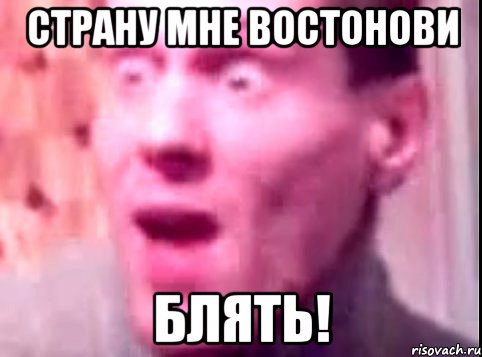 страну мне востонови блять!