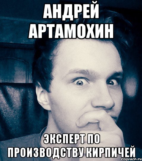 андрей артамохин эксперт по производству кирпичей, Мем Эксперт по производству кирпичей