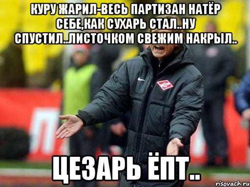 куру жарил-весь партизан натёр себе,как сухарь стал..ну спустил..листочком свежим накрыл.. цезарь ёпт.., Мем электроник