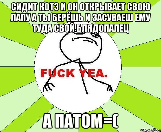 сидит котэ и он открывает свою лапу а ты берёшь и засуваеш ему туда свой блядопалец а патом=(, Мем фак е