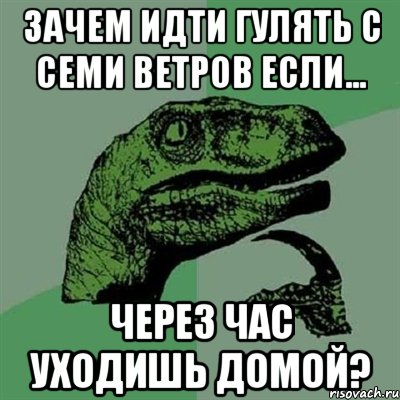 зачем идти гулять с семи ветров если... через час уходишь домой?, Мем Филосораптор