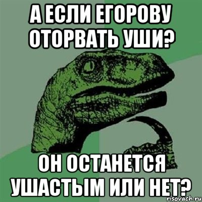 а если егорову оторвать уши? он останется ушастым или нет?, Мем Филосораптор