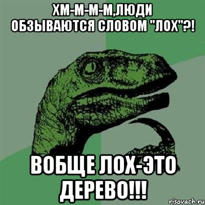 хм-м-м-м,люди обзываются словом "лох"?! вобще лох-это дерево!!!, Мем Филосораптор