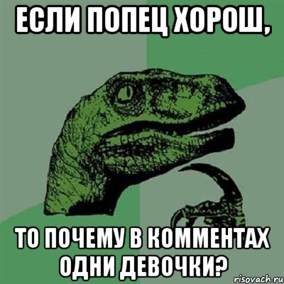 если попец хорош, то почему в комментах одни девочки?, Мем Филосораптор