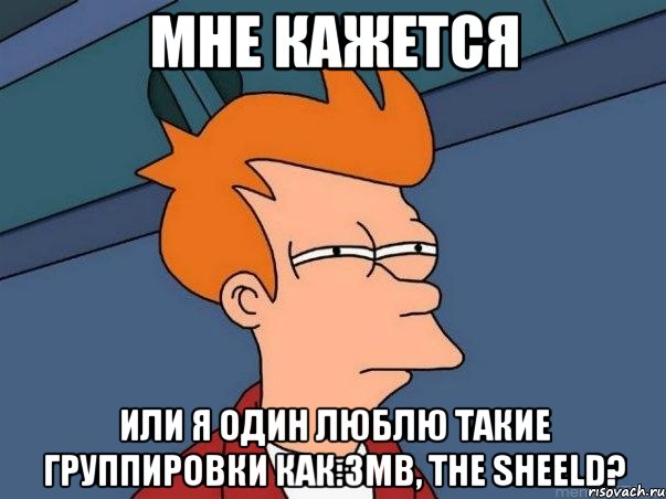 мне кажется или я один люблю такие группировки как:3mb, the sheeld?, Мем  Фрай (мне кажется или)