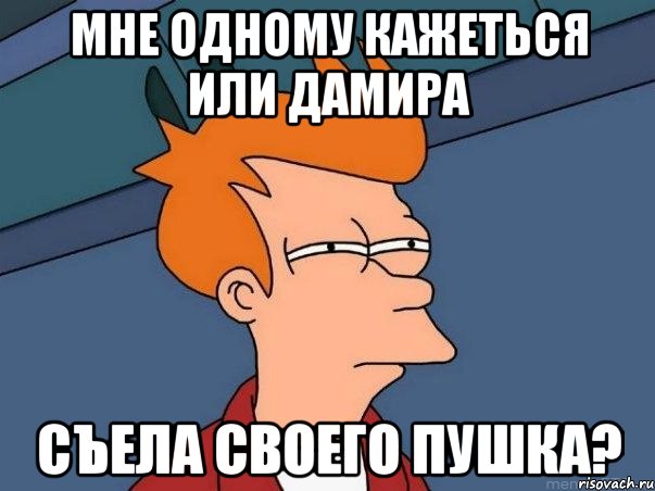 мне одному кажеться или дамира съела своего пушка?, Мем  Фрай (мне кажется или)