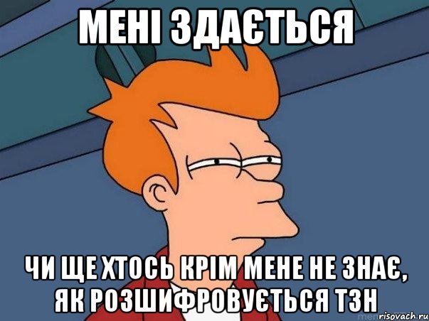 мені здається чи ще хтось крім мене не знає, як розшифровується тзн, Мем  Фрай (мне кажется или)