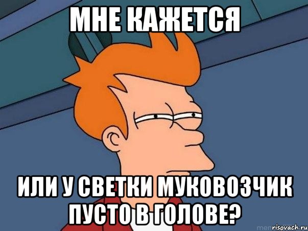 мне кажется или у светки муковозчик пусто в голове?, Мем  Фрай (мне кажется или)