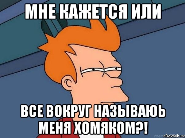 мне кажется или все вокруг называюь меня хомяком?!, Мем  Фрай (мне кажется или)