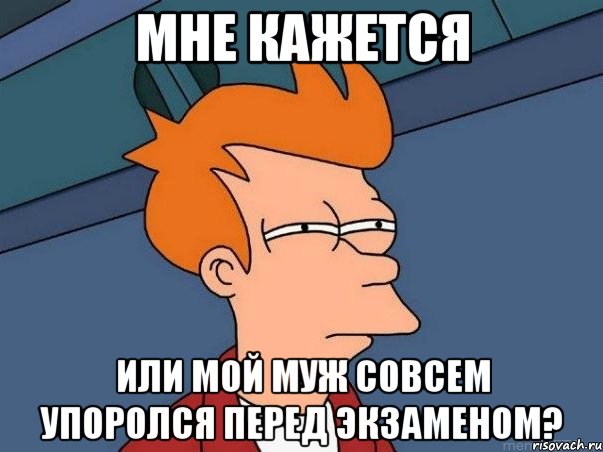 мне кажется или мой муж совсем упоролся перед экзаменом?, Мем  Фрай (мне кажется или)