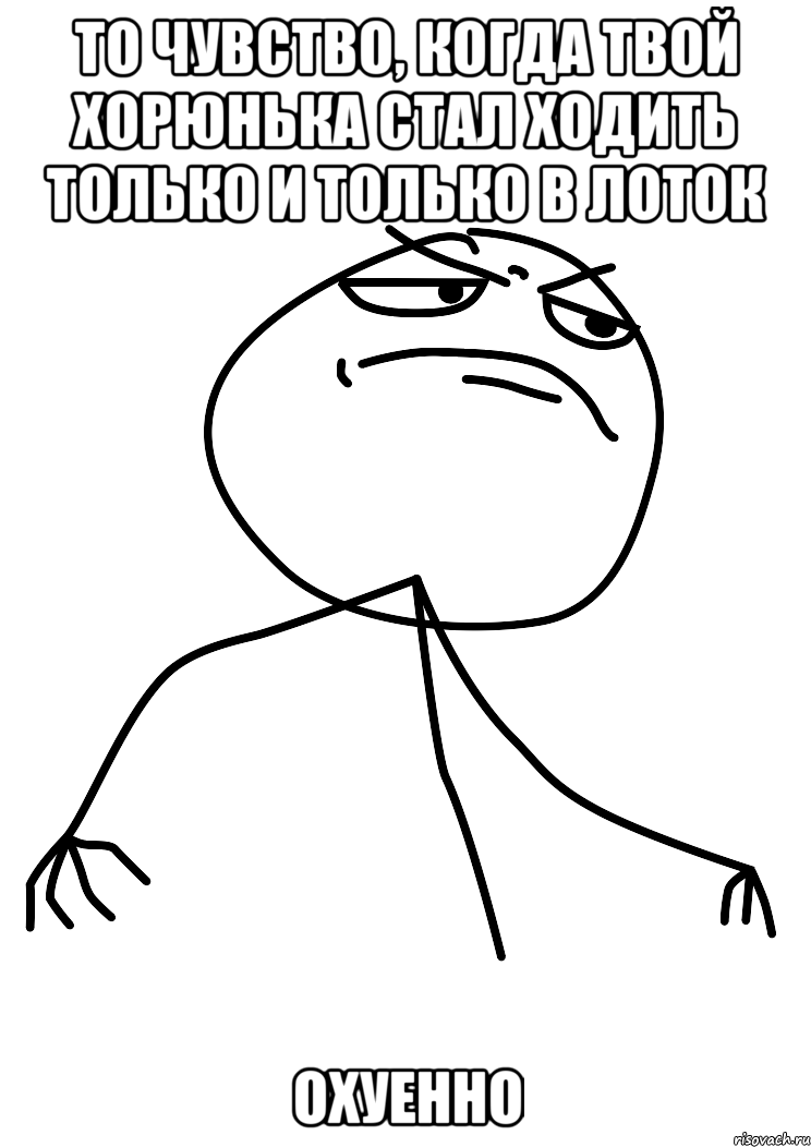 то чувство, когда твой хорюнька стал ходить только и только в лоток охуенно, Мем fuck yea