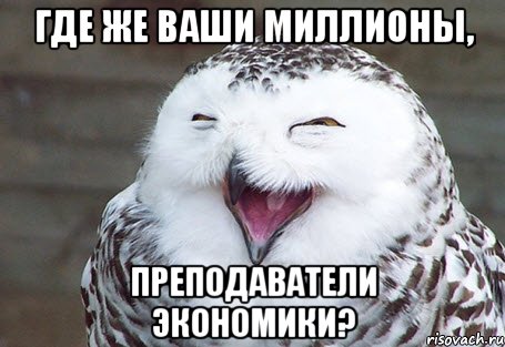 где же ваши миллионы, преподаватели экономики?, Мем Где же ваши миллионы