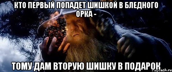 кто первый попадет шишкой в бледного орка - тому дам вторую шишку в подарок, Мем гендальф на сосне