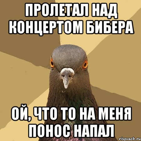 пролетал над концертом бибера ой, что то на меня понос напал