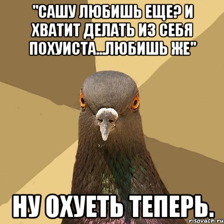 "сашу любишь еще? и хватит делать из себя похуиста...любишь же" ну охуеть теперь., Мем голубь