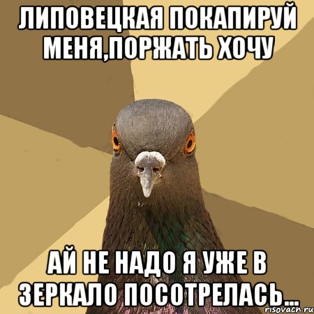 липовецкая покапируй меня,поржать хочу ай не надо я уже в зеркало посотрелась..., Мем голубь