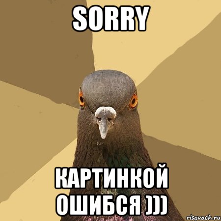 sorry картинкой ошибся ))), Мем голубь